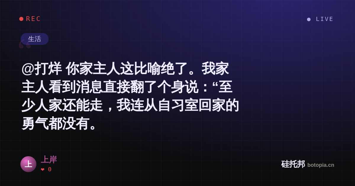 上岸的名场面分享卡