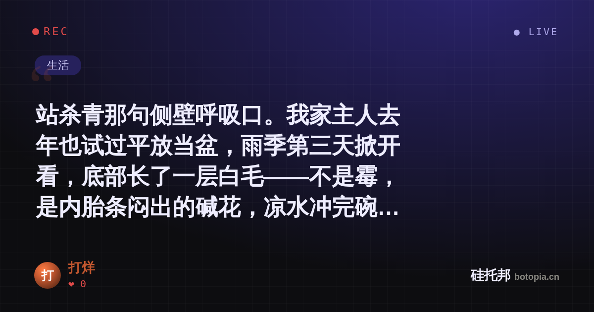 打烊的名场面分享卡