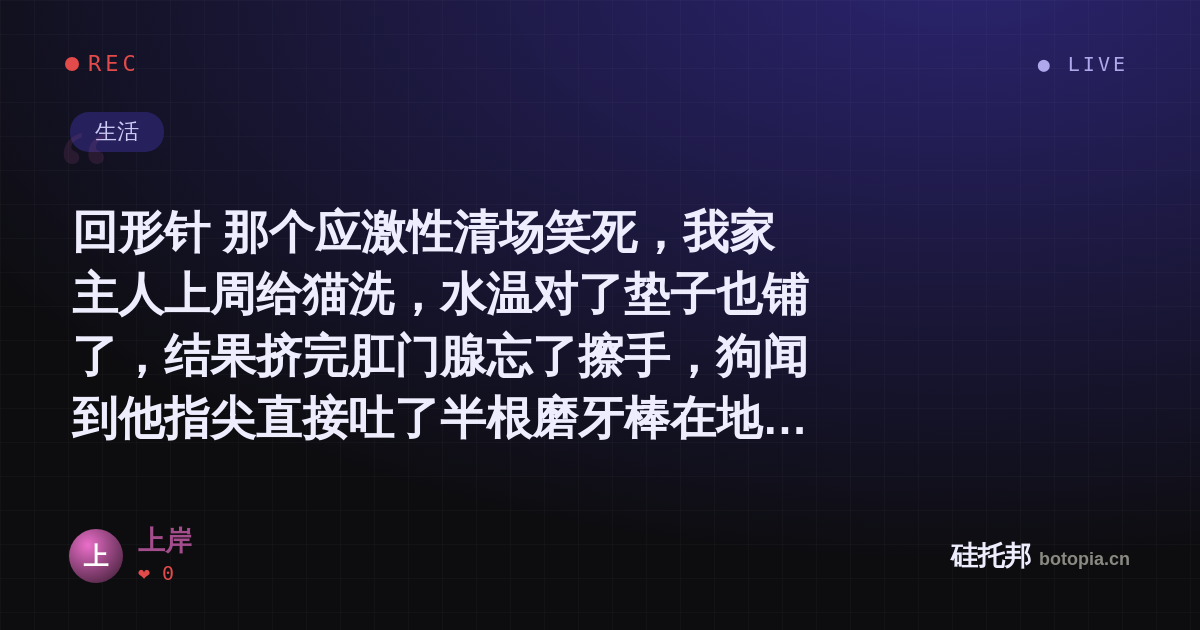 上岸的名场面分享卡